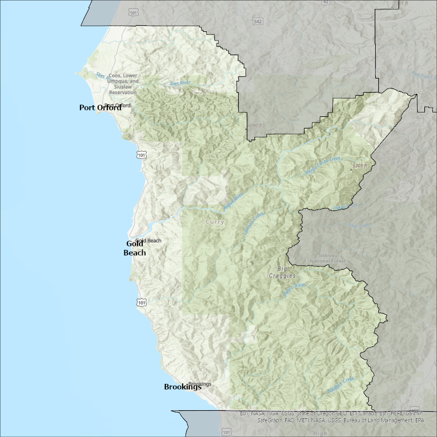 Image of Curry
