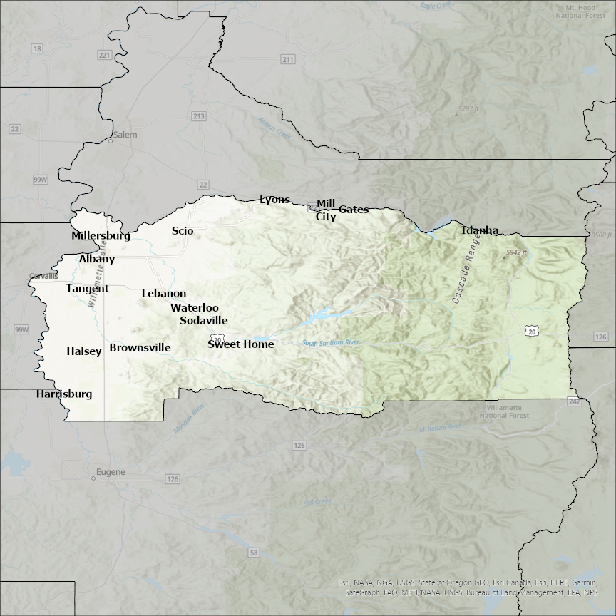 Image of Linn