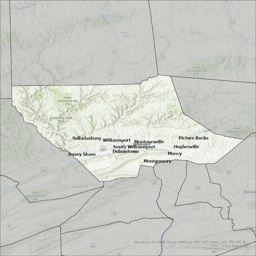 Image of Lycoming