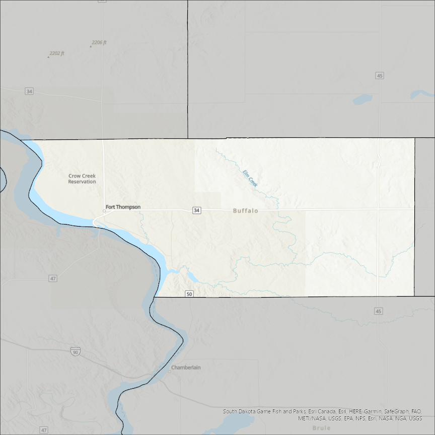 Image of Buffalo