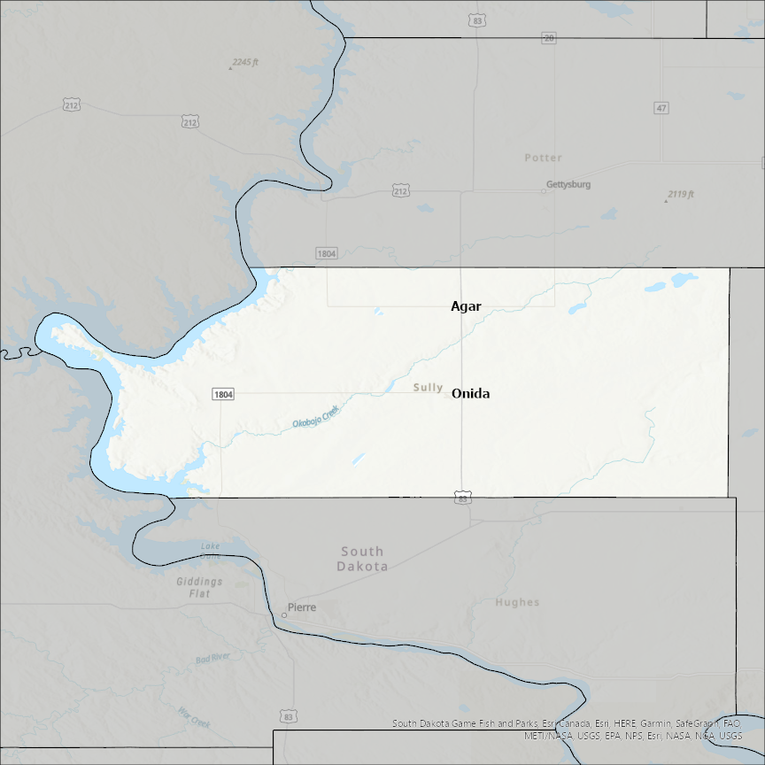 Image of Sully