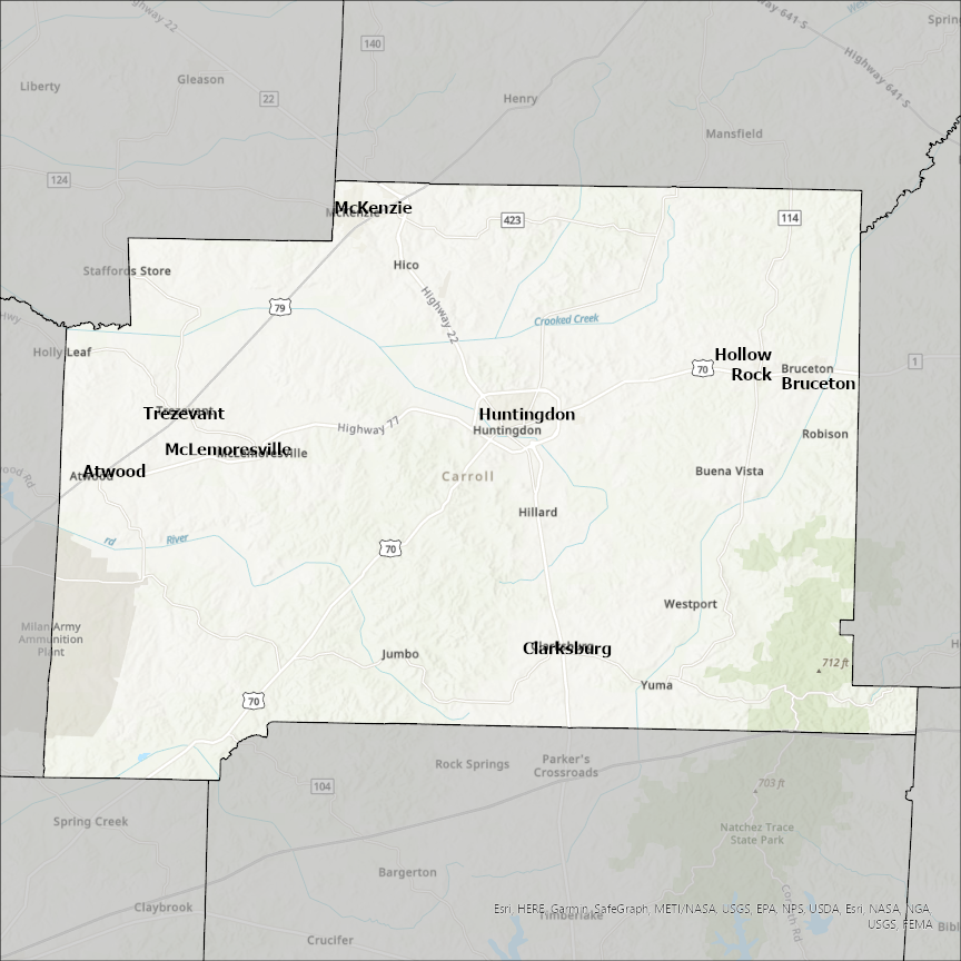 Image of Carroll