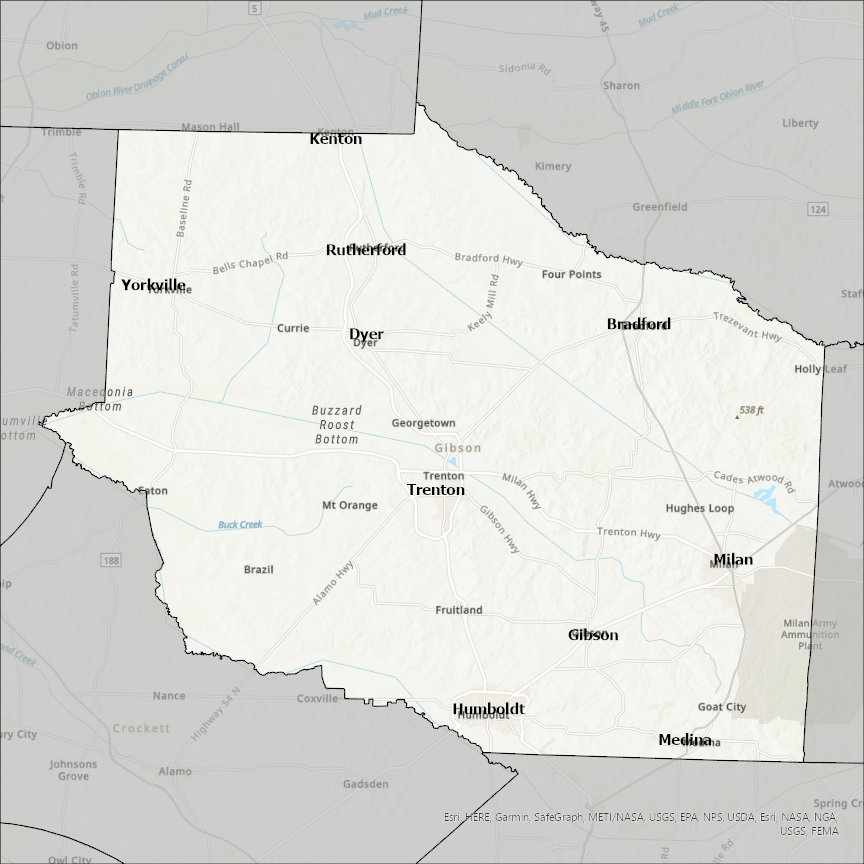 Image of Gibson