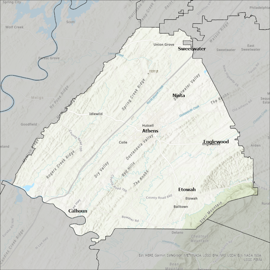 Image of McMinn