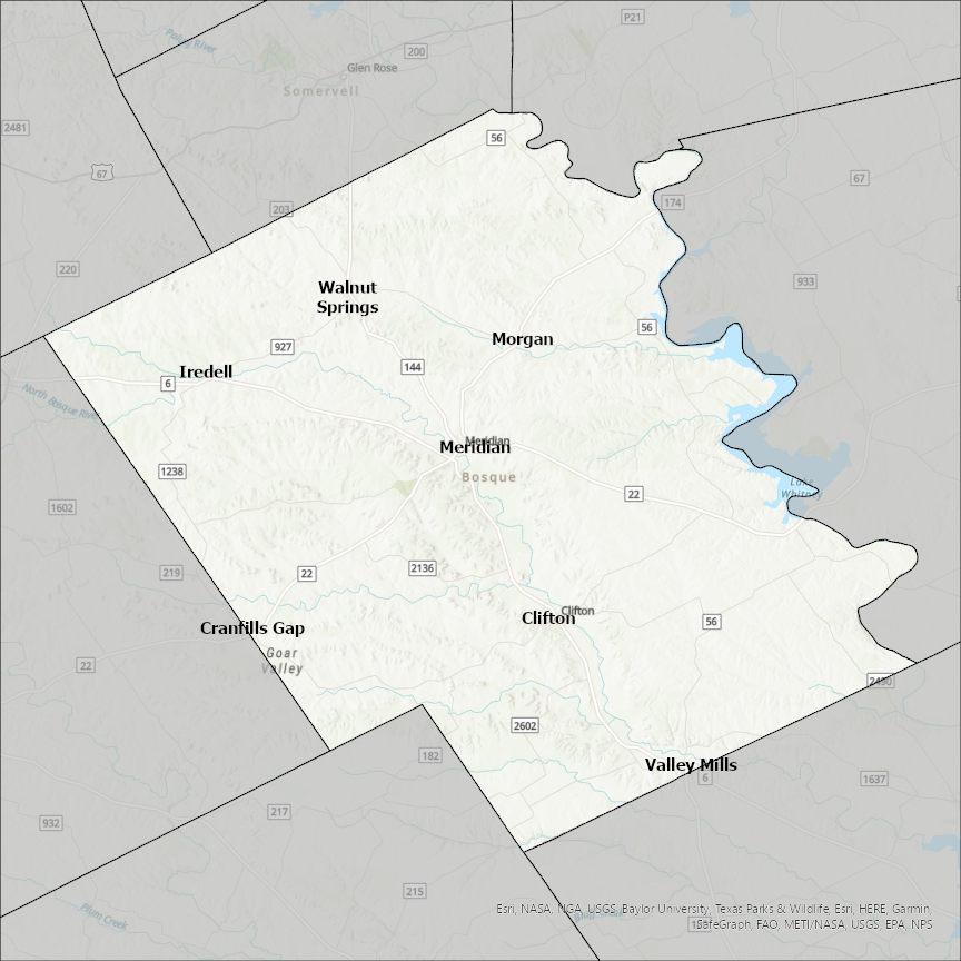 Image of Bosque