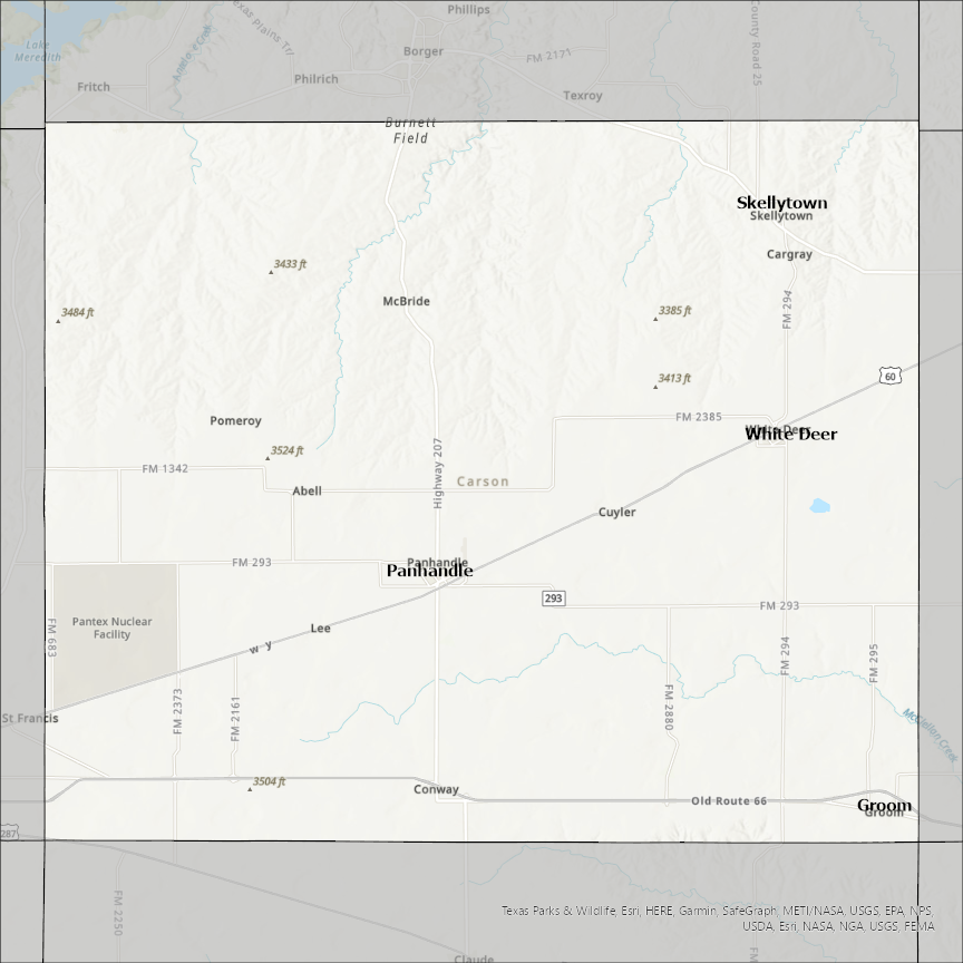 Image of Carson
