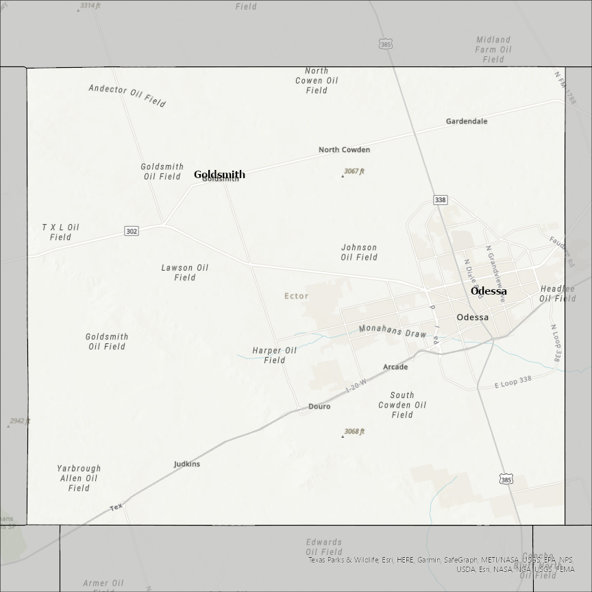 Image of Ector