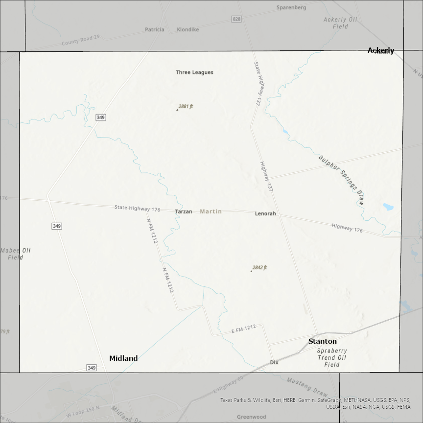 Image of Martin