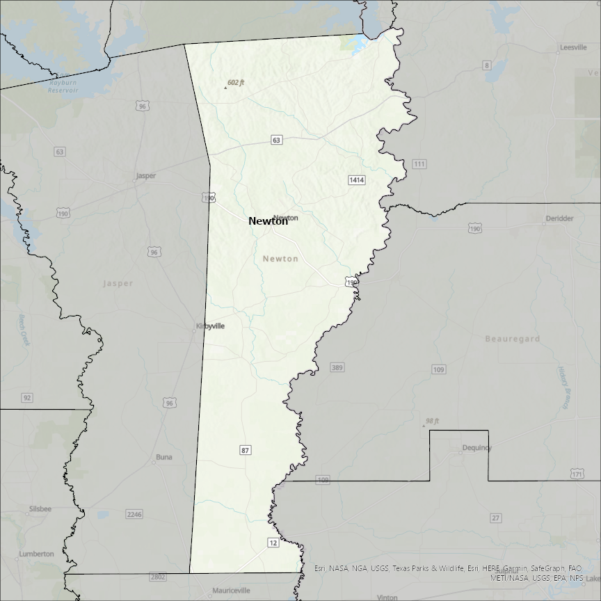 Image of Newton
