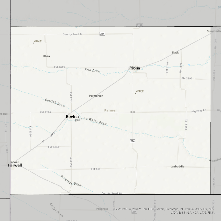 Image of Parmer