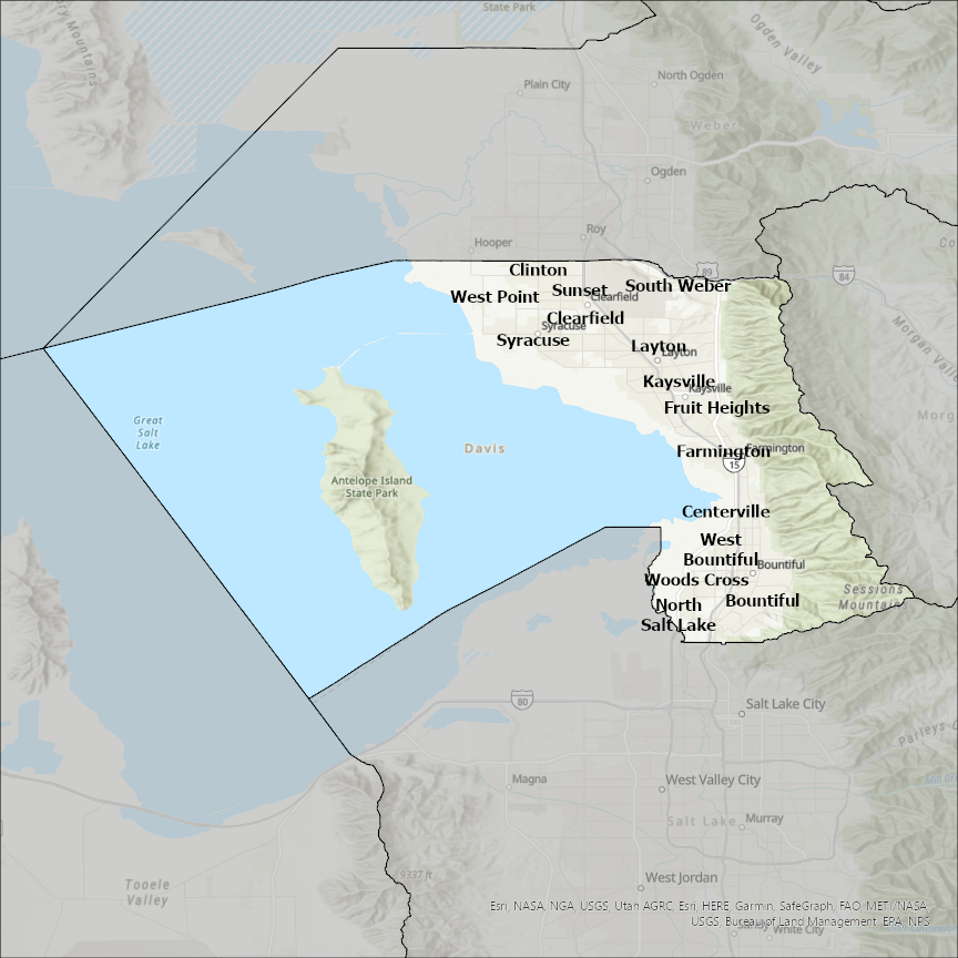 Image of Davis