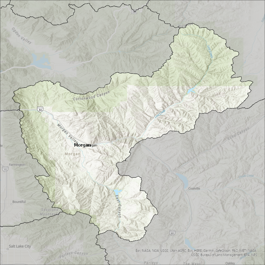 Image of Morgan
