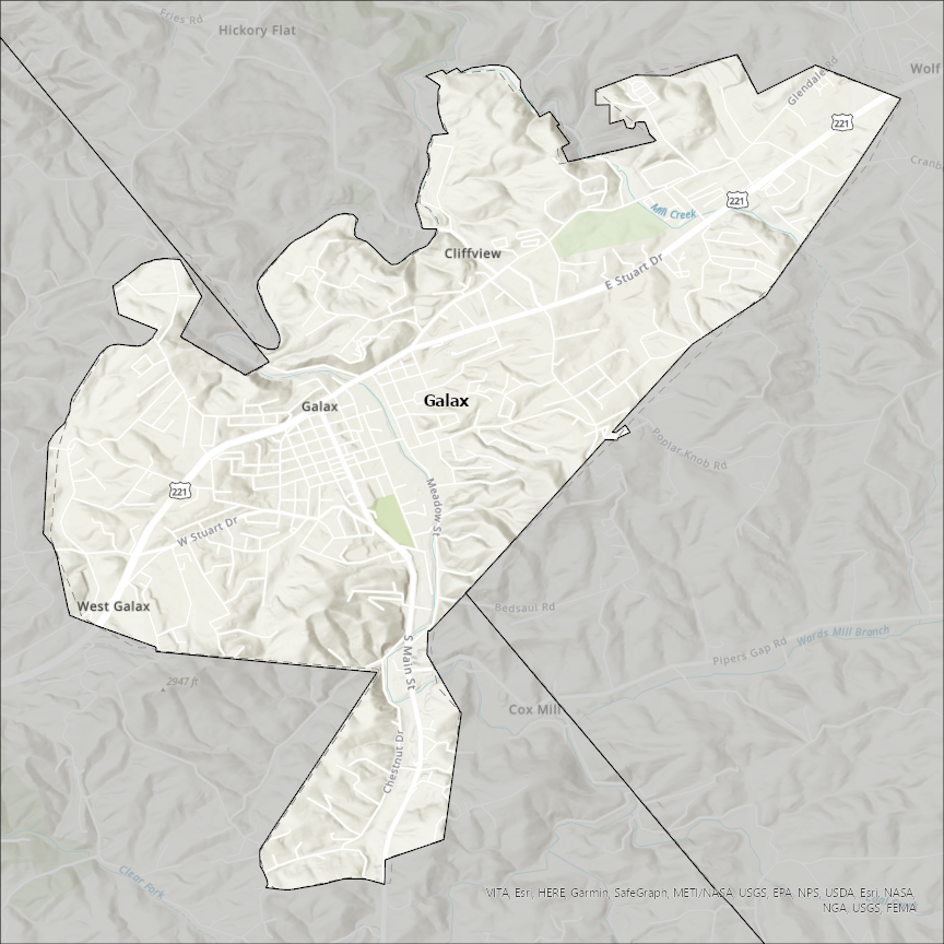 Image of Galax