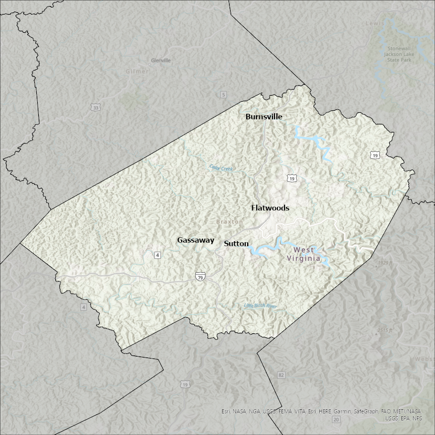 Image of Braxton