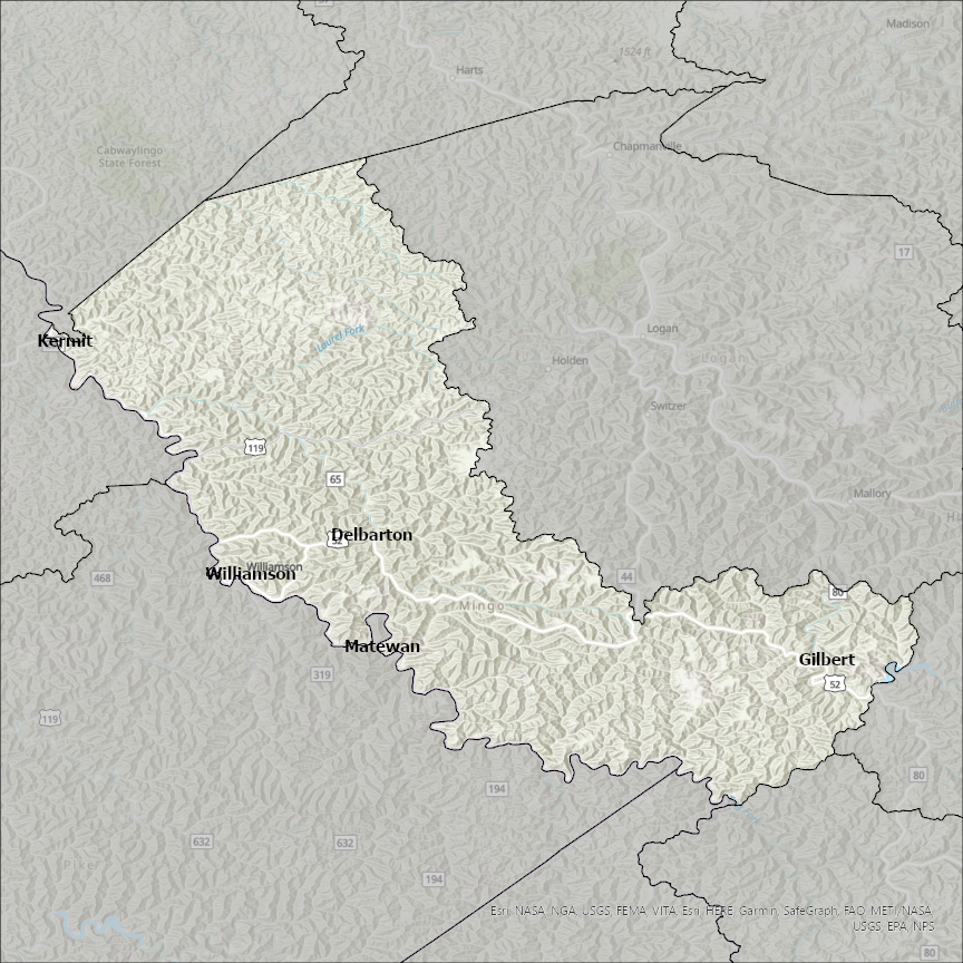 Image of Mingo