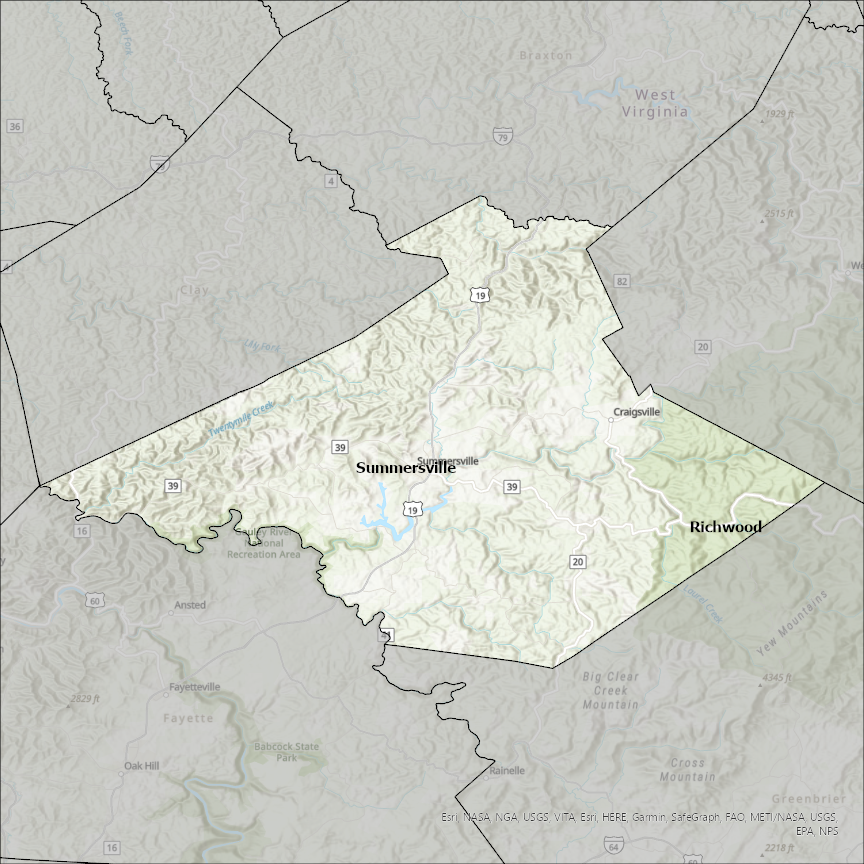 Image of Nicholas