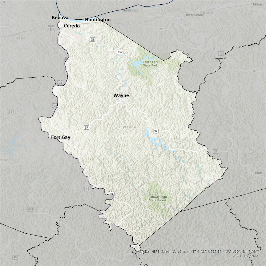 Image of Wayne