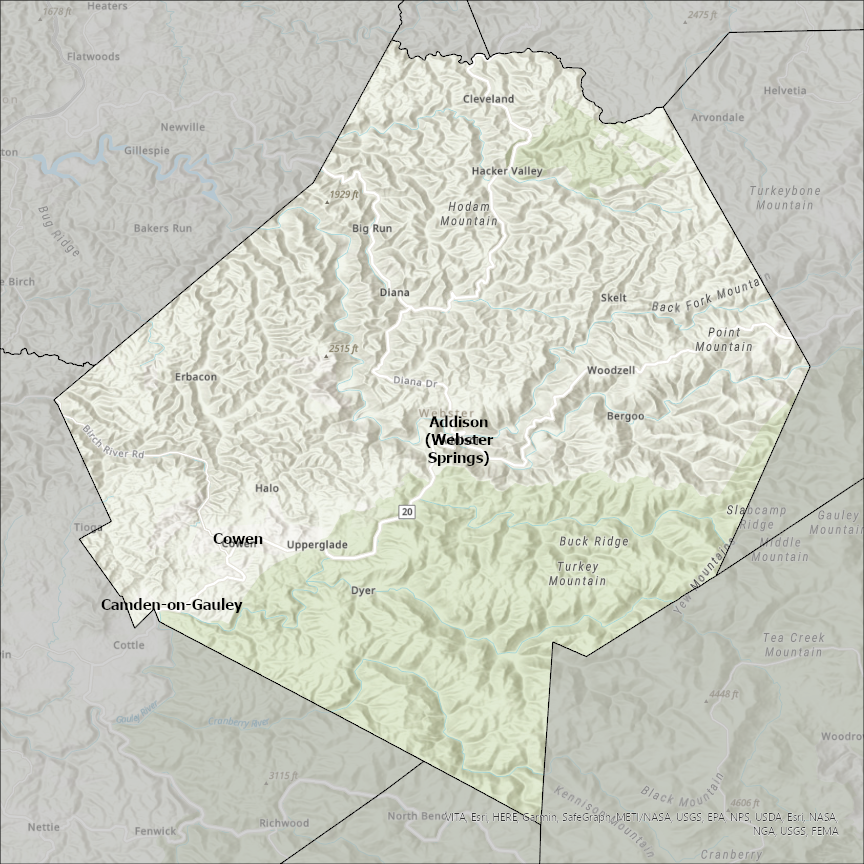 Image of Webster