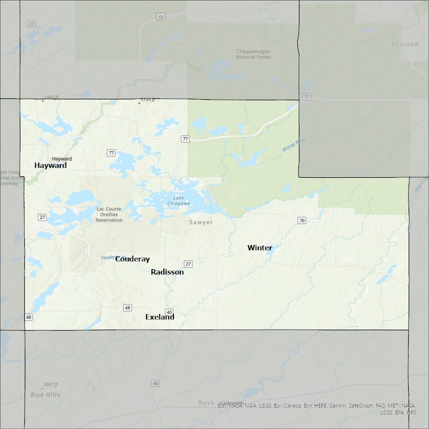 Image of Sawyer
