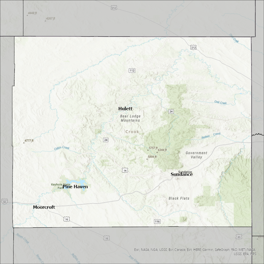 Image of Crook