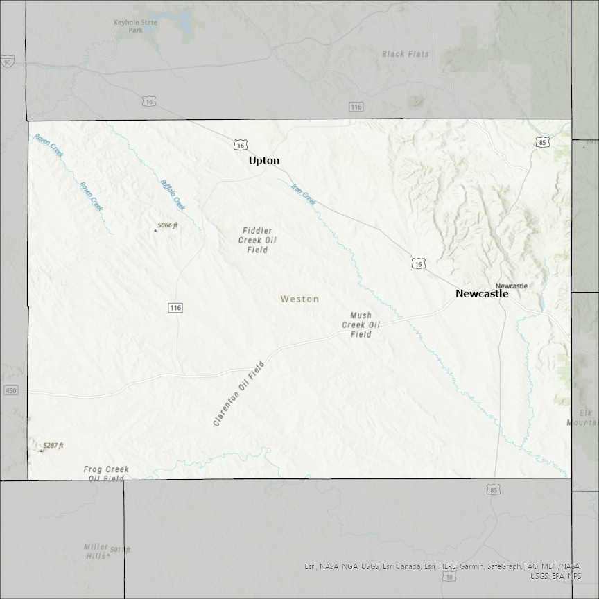 Image of Weston