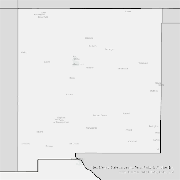 Image of NM